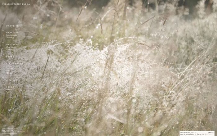Field Studies Flora website preview
