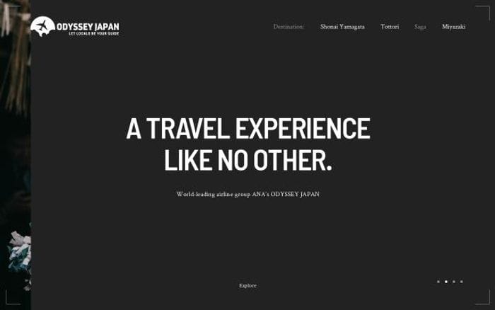 Odysseyjapan website preview