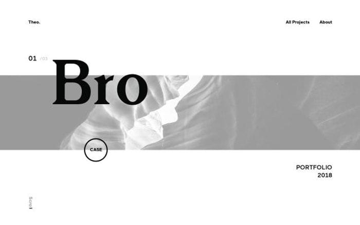 Theorosel website preview