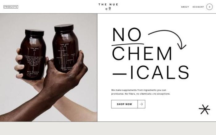 Thenueco website preview
