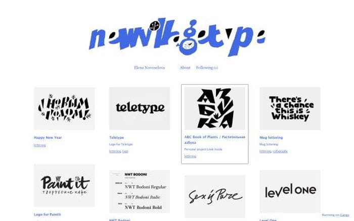 Newvillagetype website preview