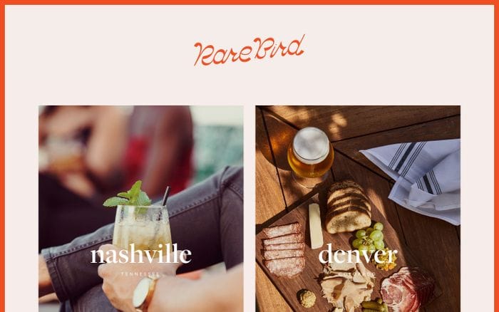 Rare Bird website preview
