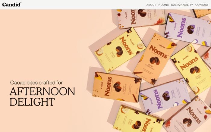 Candid website preview