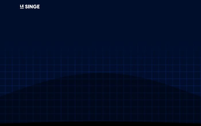 Le Singe website preview