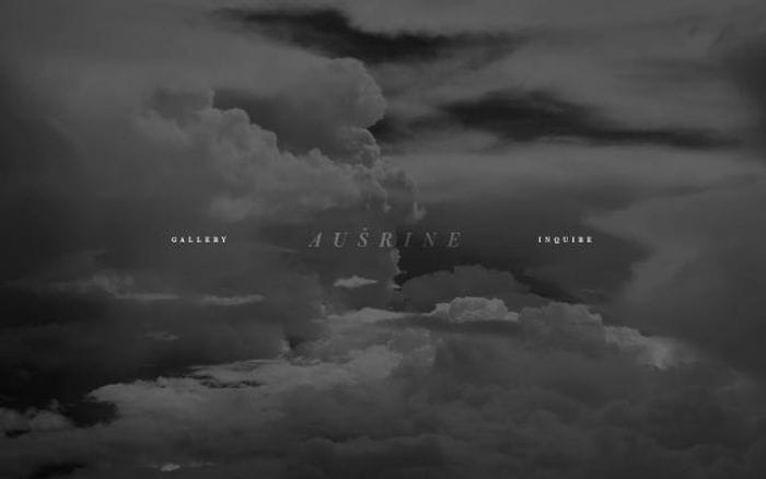 Ausrineweddings website preview