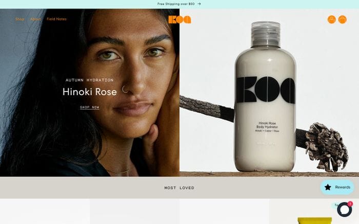 Koa website preview