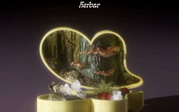 Herbar website preview