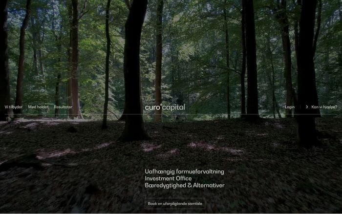 Curo Capital website preview