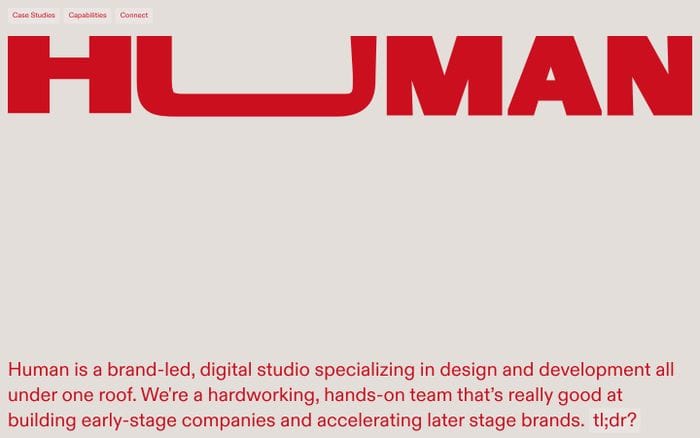 Human NYC website preview