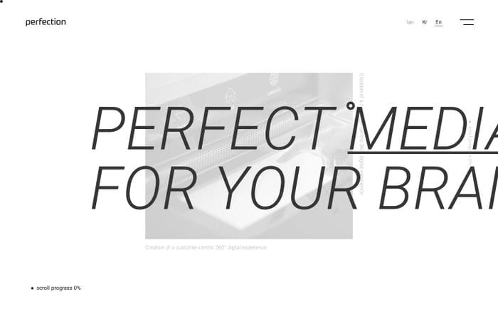 perfection website preview