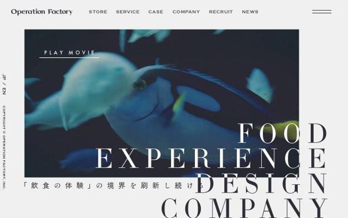 Opefac website preview