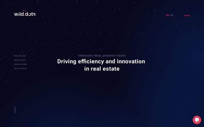  Wilddots website preview