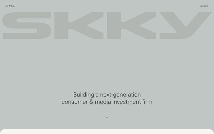 Skky website preview