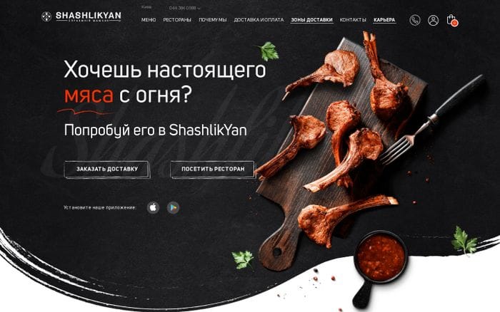 ShashlikYan настоящий шашлык в Киеве. Доставка шашлыка в Киеве website preview