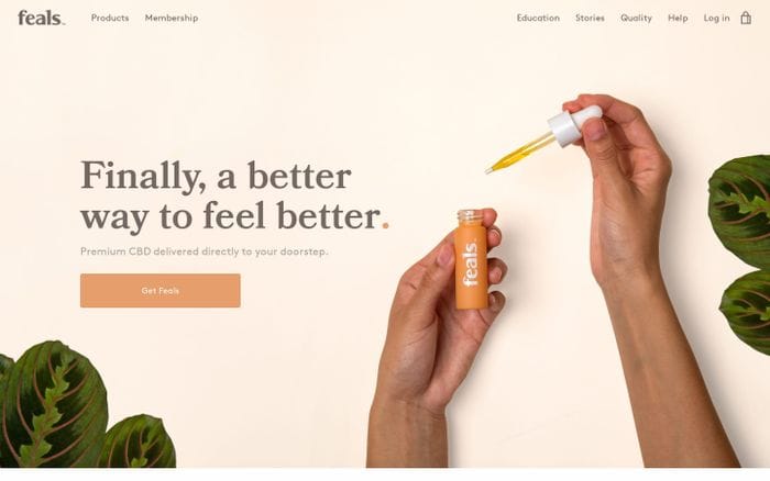Feals website preview