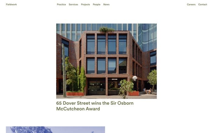 Fieldwork website preview