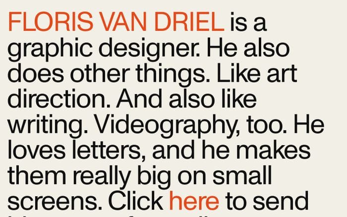 Floris van Driel website preview