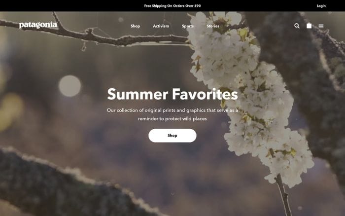 Patagonia website preview