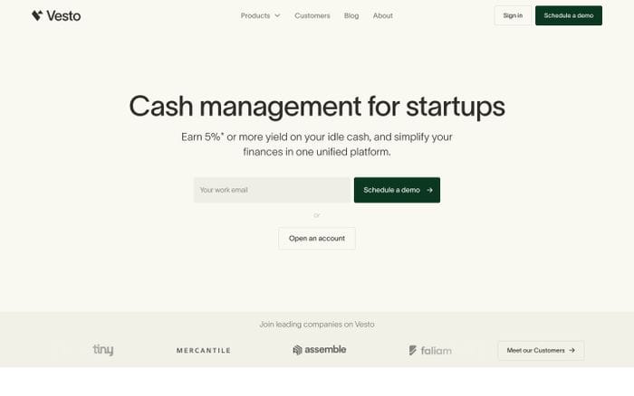 Vesto website preview