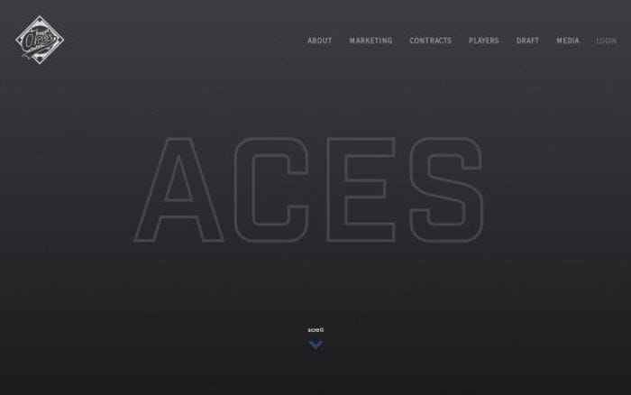 Acesincbaseball website preview