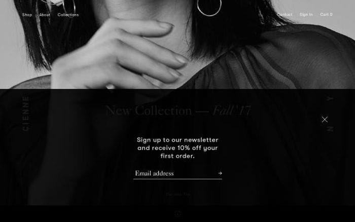 Ciennenewyork website preview