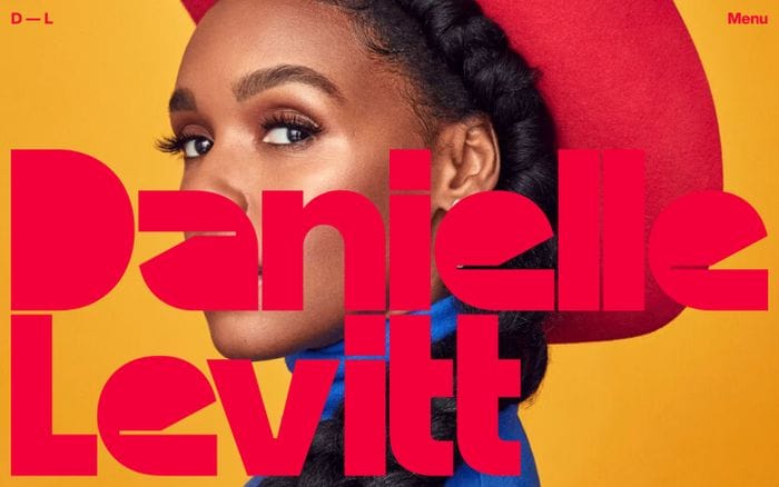 Danielle Levitt website preview