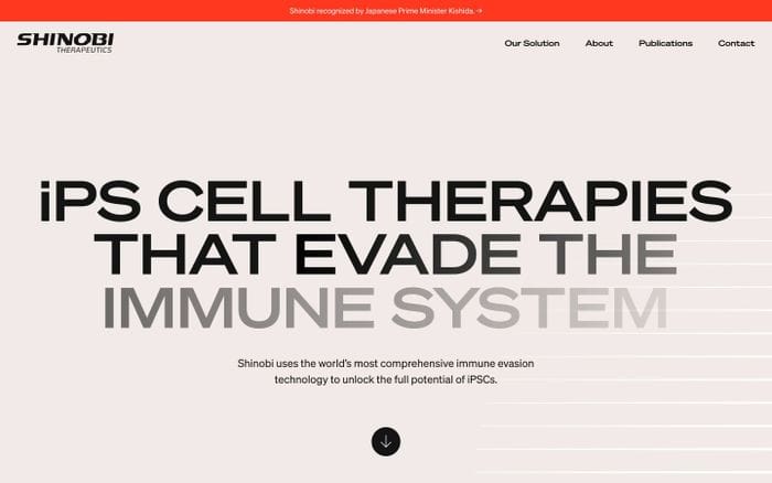 Shinobi Therapeutics website preview