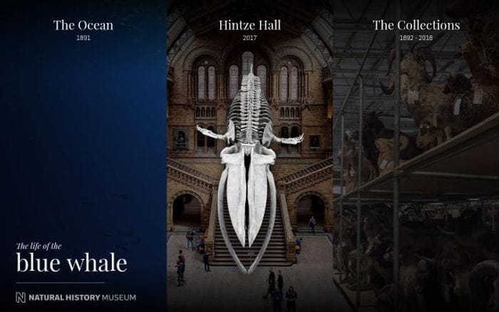 Nhm website preview