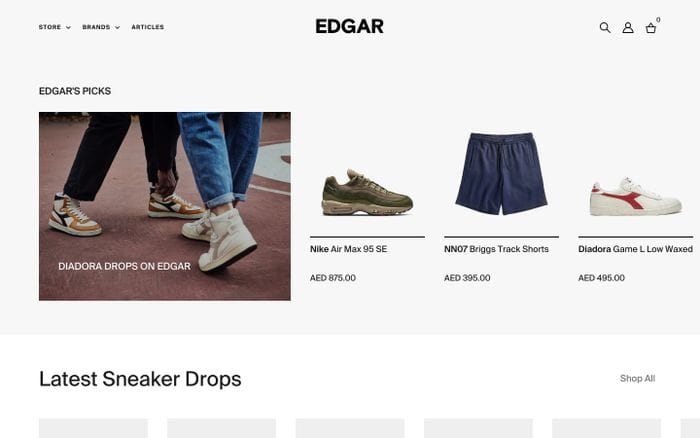 Edgar website preview