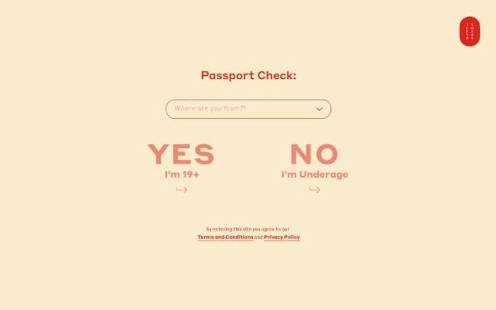 Spendtenseventeen website preview
