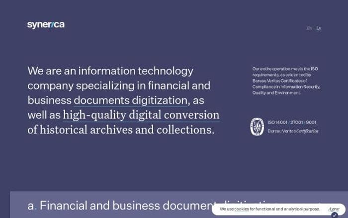 Synerica website preview