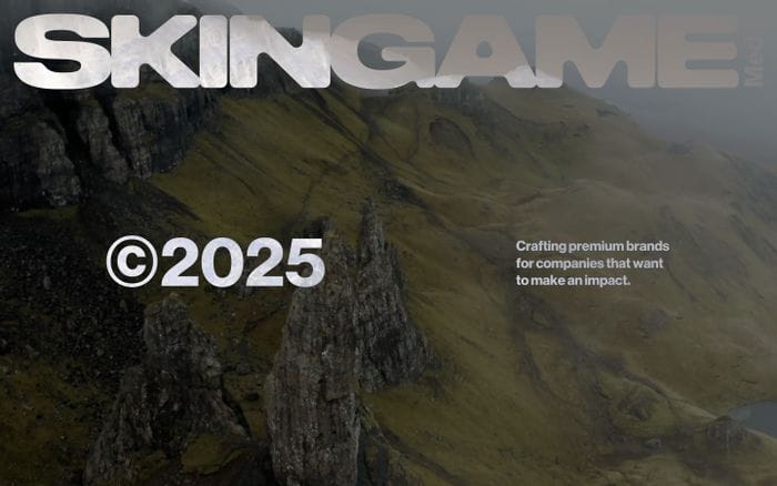 SkinGame Media website preview
