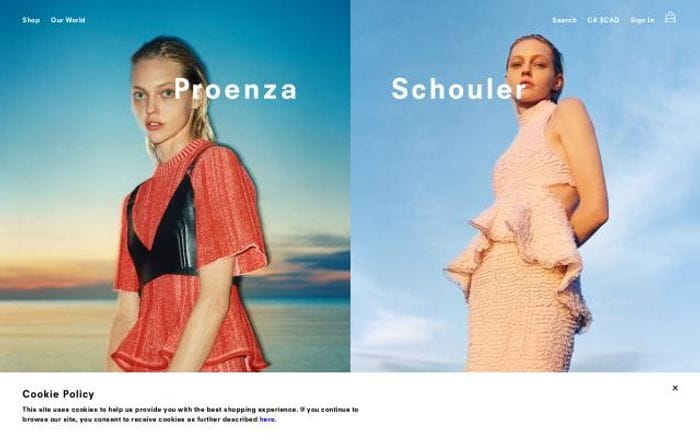 Proenzaschouler website preview