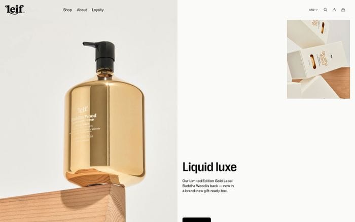 Leif website preview