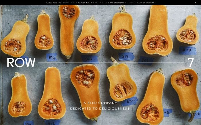 Row 7 Seed Company website preview