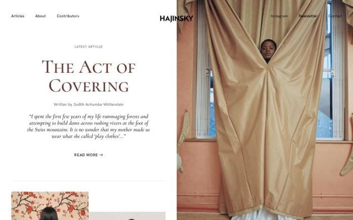 Hajinsky website preview