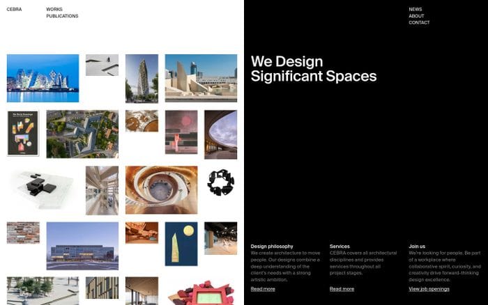 Cebra website preview