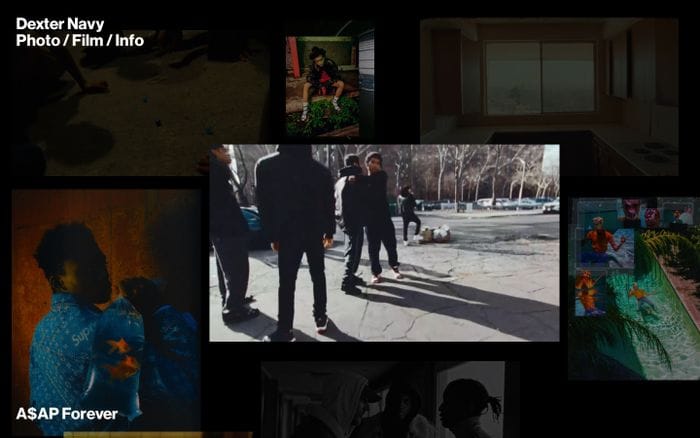 Dexter Navy website preview