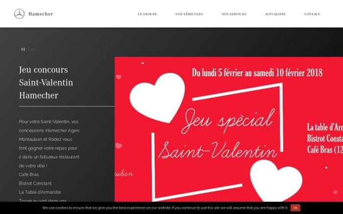 Hamecher website preview