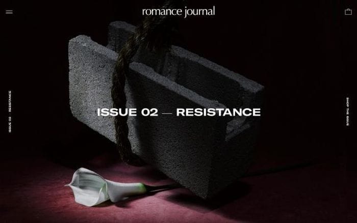 Romance-journal website preview