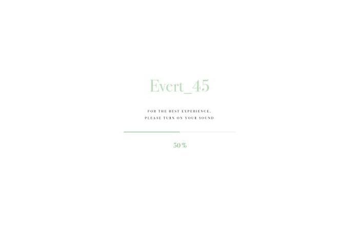 Evert45 website preview