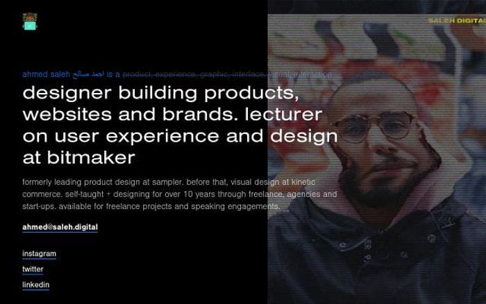 Saleh website preview