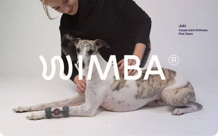 Wimba website preview