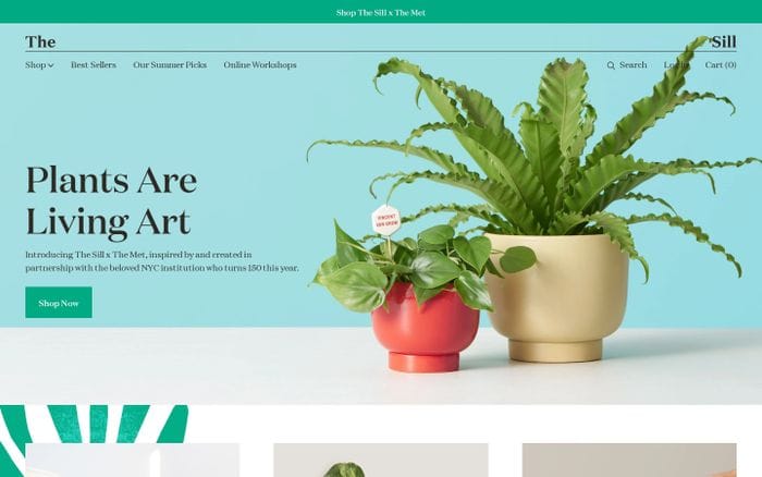 Indoor Potted Plants Delivered to Your Door – The Sill website preview