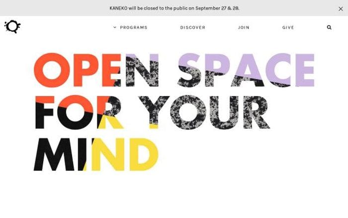 Thekaneko website preview