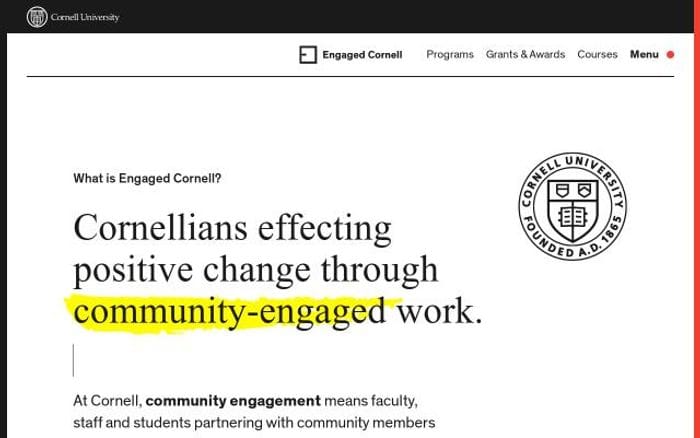 Engaged website preview
