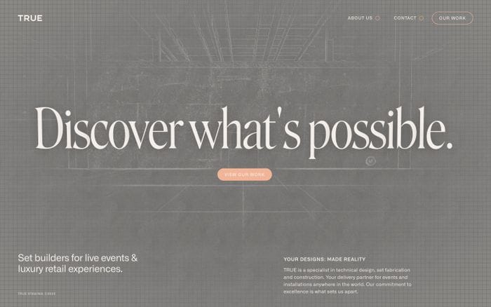 True Staging website preview