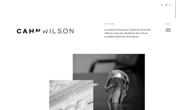 Cahn Wilson website preview