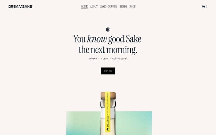 Dreamsake website preview
