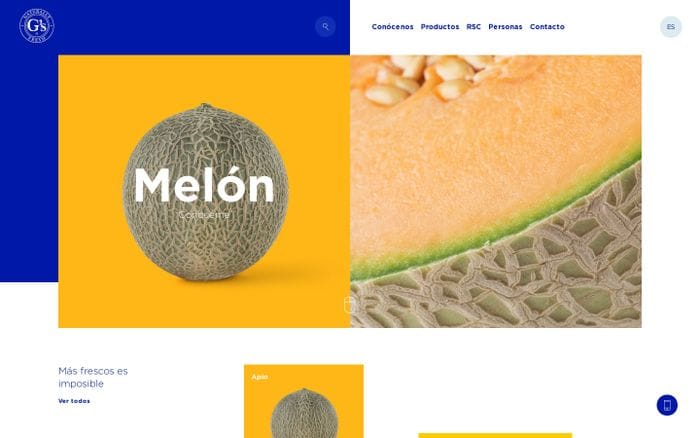 Grupo G's España – Cultivo y distribución de frutas y verduras website preview